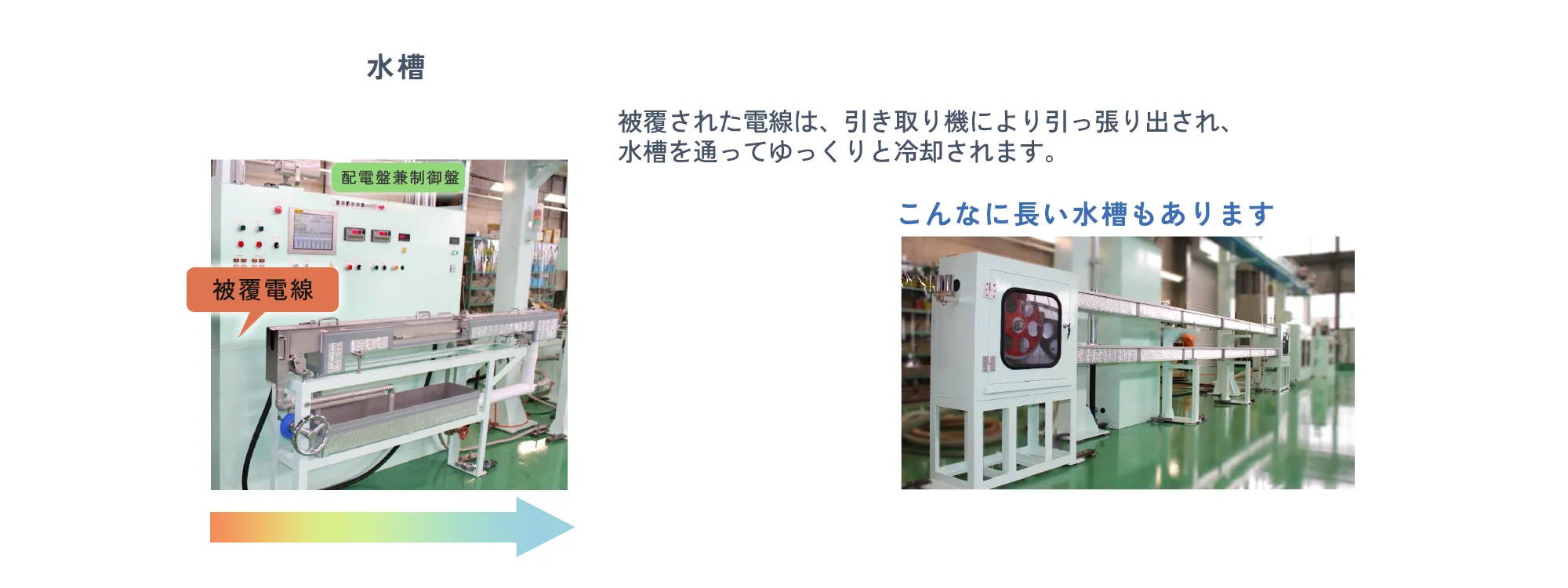 水槽